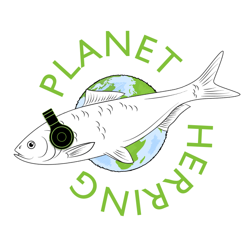 PlanetHerring Logo